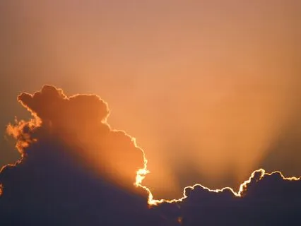 Speaking From Wisdom