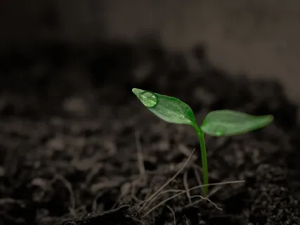 Speaking Grief With Lindsey Whissel Fenton