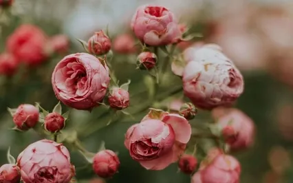 Speaking Up And Advocating For Yourself