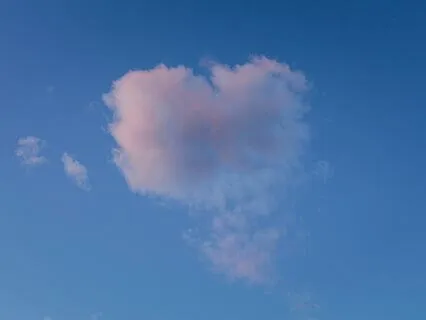 Special Focus Satsang: Finding The Inner Sweet Spot