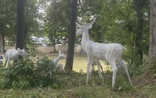 Special Place Visualisation 