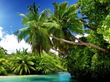 Special Sound Journey With Nature & Plants 