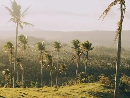 Spectral Serenity - Ancestral Shadow Songs