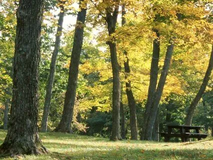 Spending Time Outside