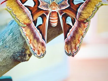 Spending Time With The Holy Spirit