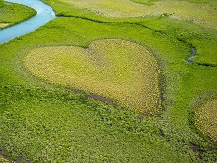 Spherical Touch - Uplifting Morning Music With Birdsong