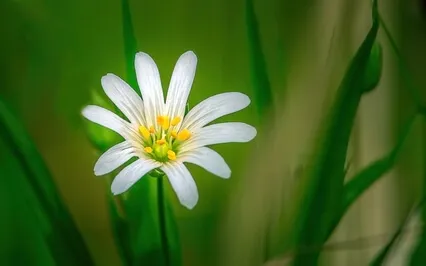 Spherical Yoga Music