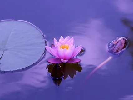 Spinal Breath Rotation Meditation For Tranquility