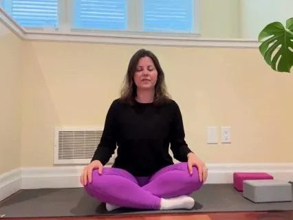 Spinal Twists — Detox And Reset