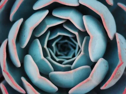 Guided Spiral Imagery