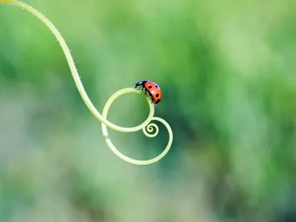 Spiral Technique To Shift Anxiety