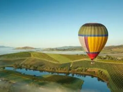 Spirit Animal Journey