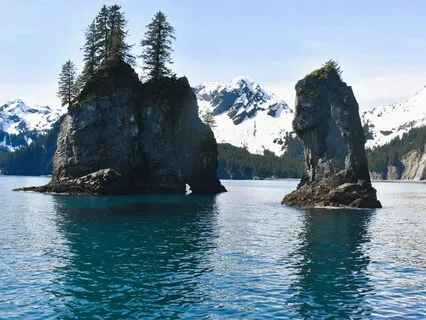 Spirit Animal Meditation