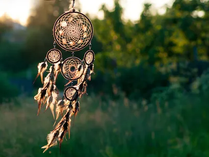 Spirit Animal Shamanic Meditation