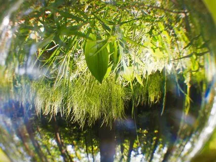 Spirit Guide Journey