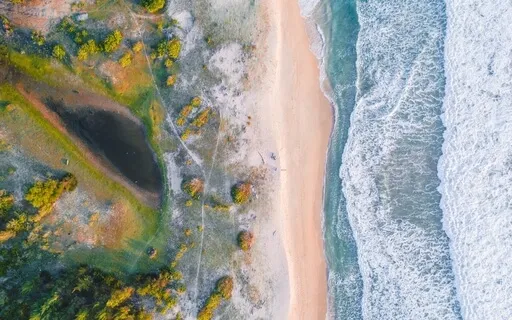 Spirit Guide Soundscape: A Gentle Peace