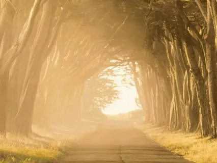 Spirit Guides: Meet Your Team & Receive Guidance