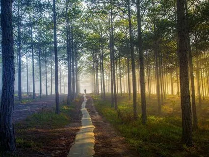 Spirit Heavenly Healing Music