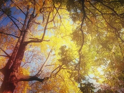 Spirit Hollow Creek, VT