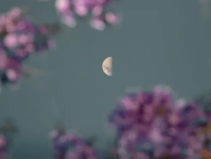 Spirit Of Serenity ( Guitar )