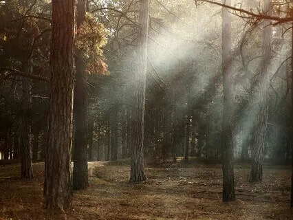 Spirit Of The Earth 432 Hz