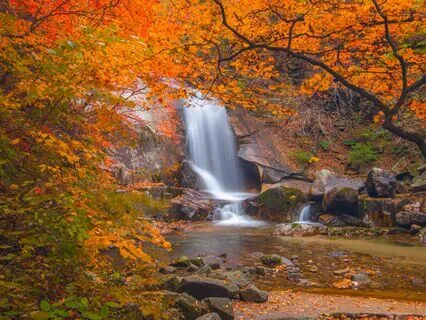 Spirit Of The Forest | 432 Hertz | Well-Being Music