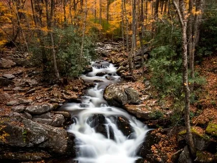 Spirit On The Stream