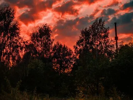 Spirit's Symphony - Echoes Of Shamanic Wisdom