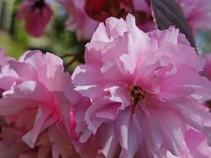 Spirit Walk, Grounding, Clearing All Chakras, Colour Imagery