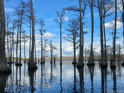 Spiritbody: A Reflection on the Interconnection of All Life