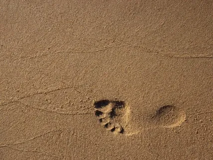 SpiritStep Two: Let Go And Let Love