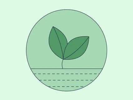 Spiritual Alchemy | Embodied Wisdom 432Hz | Earth