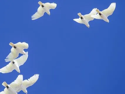 Spiritual Awakening: Connect With Loving Spirits