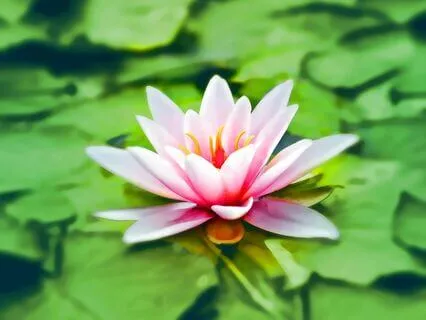 Spiritual Awakening & Deep Healing Music: 777 Hz Serenity