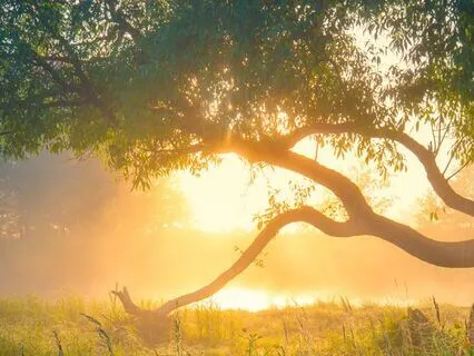 Spiritual Awakening In The Morning