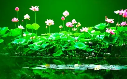 Spiritual Awakening/Connection Affirmations Meditation