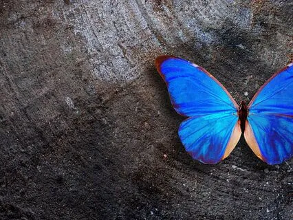 Spiritual Awakening Sleep Meditation - Butterfly Effect