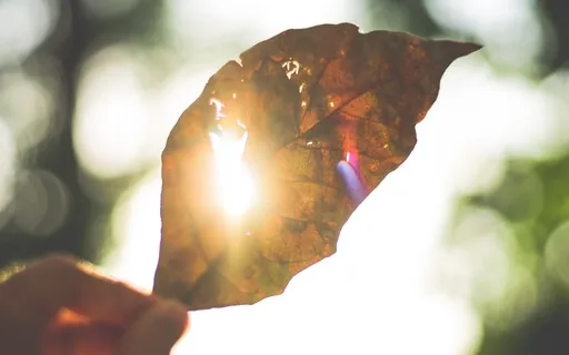 Spiritual Being On A Human Journey