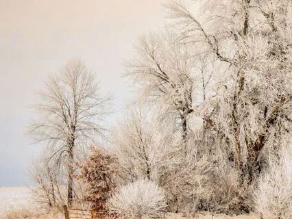 Spiritual Breakfast Jam: Walking Dawn’s Quiet Alchemy