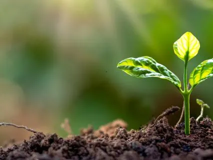 Spiritual Growth Has Its Own Path