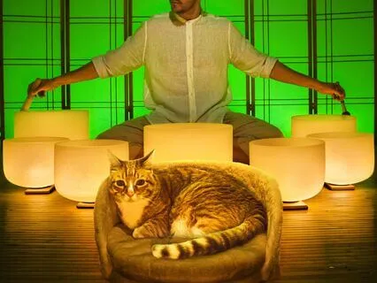 Spiritual Guardians Sound Bath