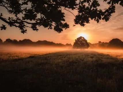Spiritual Guidance - A Voice In The Crowd
