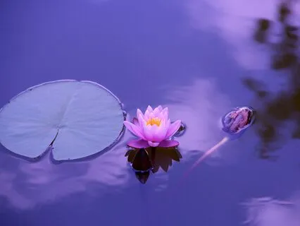 Spiritual Heart, Hridaya (हृदय):  A Meditation On Abundance