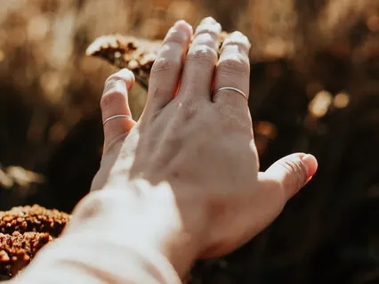 Spiritual Hygiene Is As Important As Physical Hygiene In Our Daily Lives