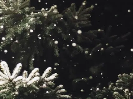 Spiritual Illumination: Christmas Tree Method