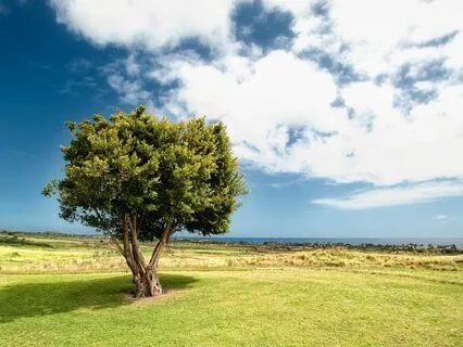 Spiritual Pause: Blessings