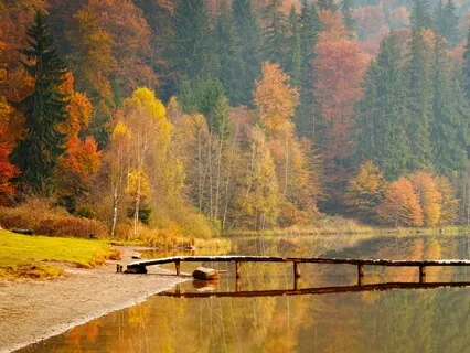 Spiritual Pause:  Breathe