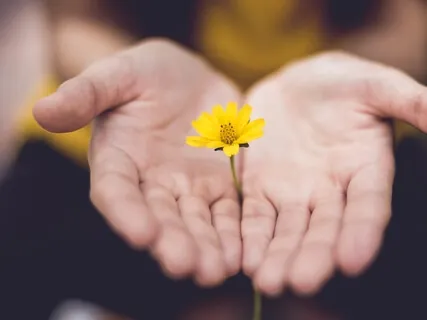 Spiritual Pause:  Present