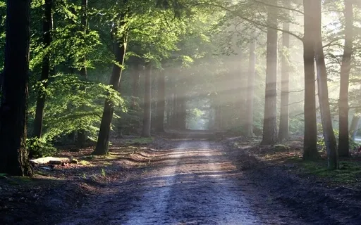 Spiritual Piano Improvisation