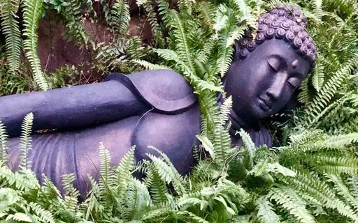 Spiritual Resilience And Dharma Micro-Dosing